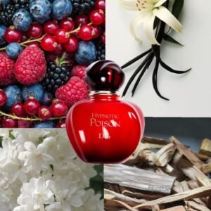 Hypnotic Poison Christian Dior